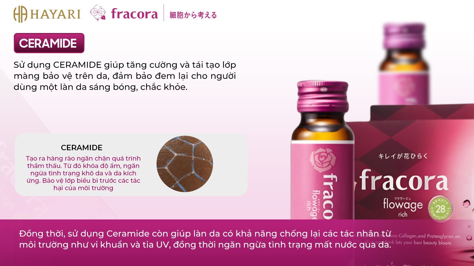 Nước Uống Nhau Thai Cừu Fracora Placenta