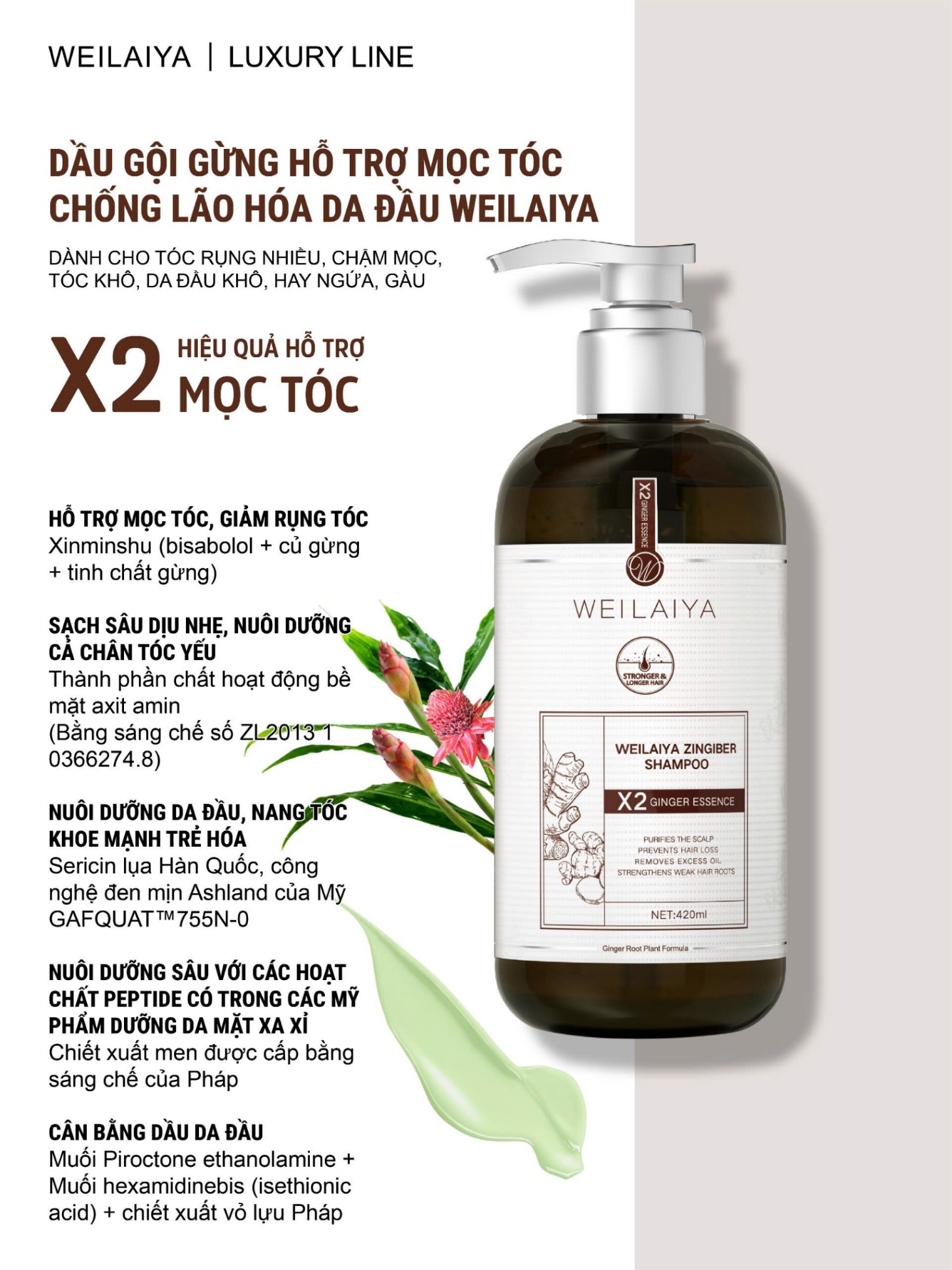 Cặp gội xả gừng hà thủ ô Weilaiya Luxury dành cho tóc khô
