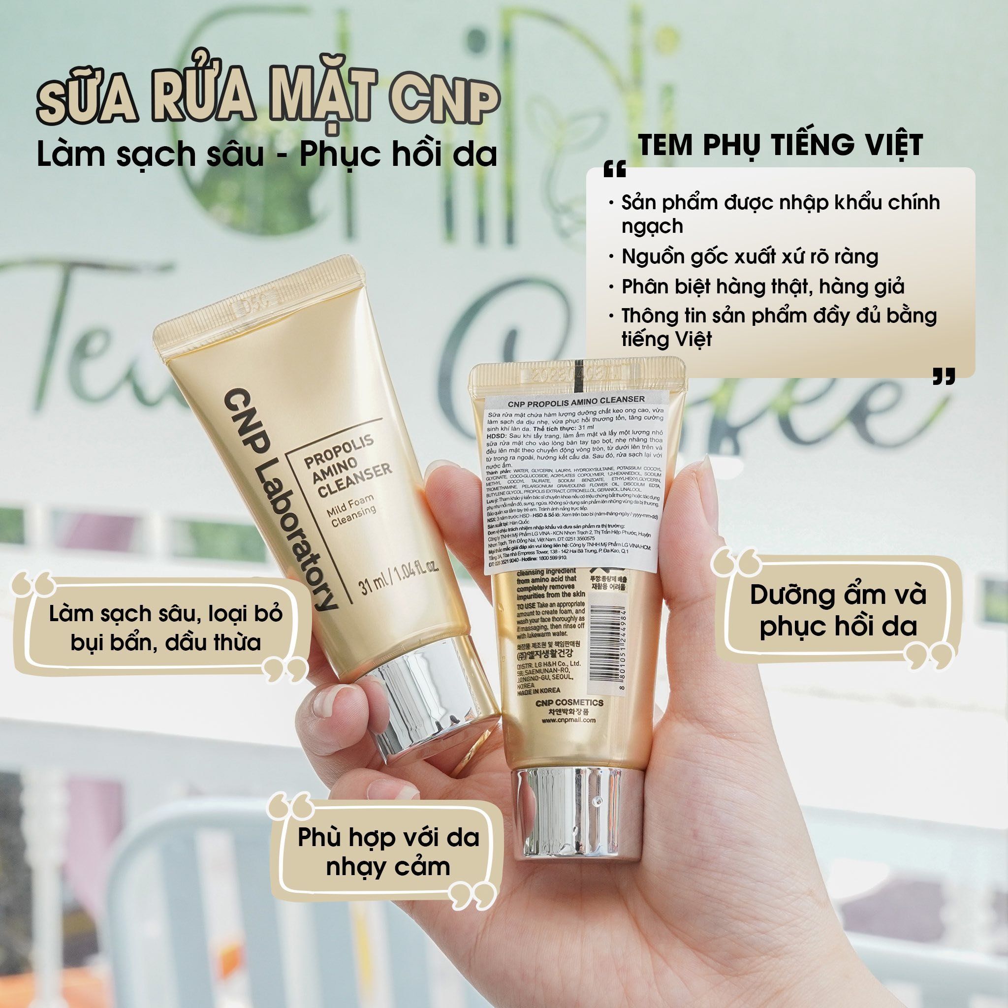 Sữa rửa mặt keo ong CNP Propolis Amino Cleanser mini size 31ml