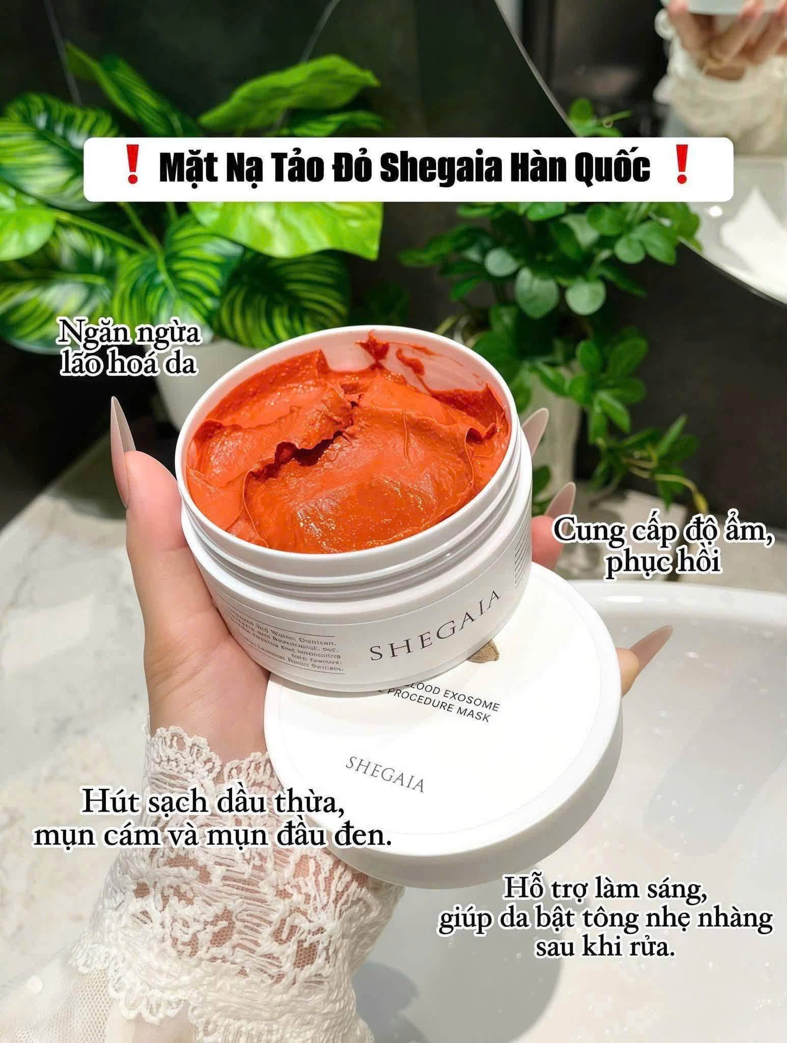 Mặt Nạ Đất Sét Huyết Rồng Shegaia – Thu Nhỏ Lỗ Chân Lông Hàn Quốc hộp 150g