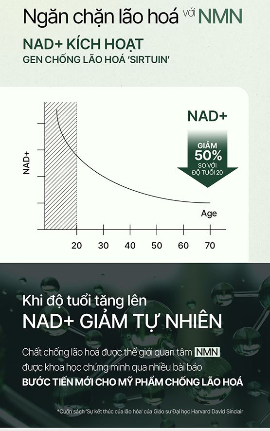 Mặt nạ vải vi sợi NMM ngải cứu SSUK Micro Fiber Mask(1 hộp/10 cái)