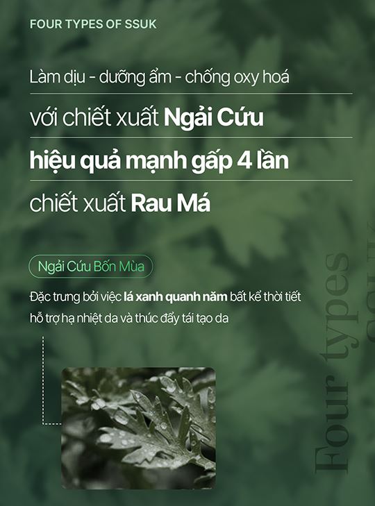 Mặt nạ vải vi sợi NMM ngải cứu SSUK Micro Fiber Mask(1 hộp/10 cái)