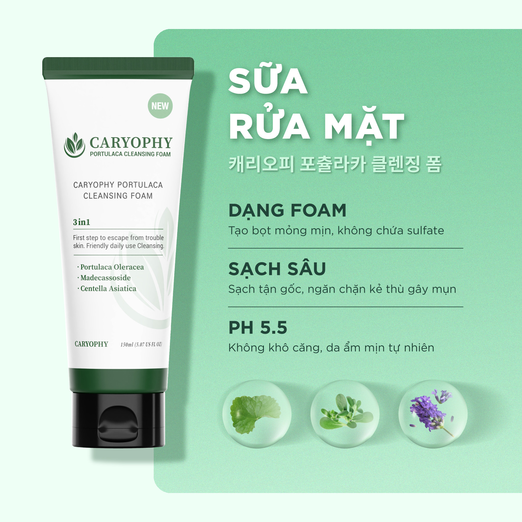 Sữa Rửa Mặt Caryophy Portulaca Cleansing Foam 150ml