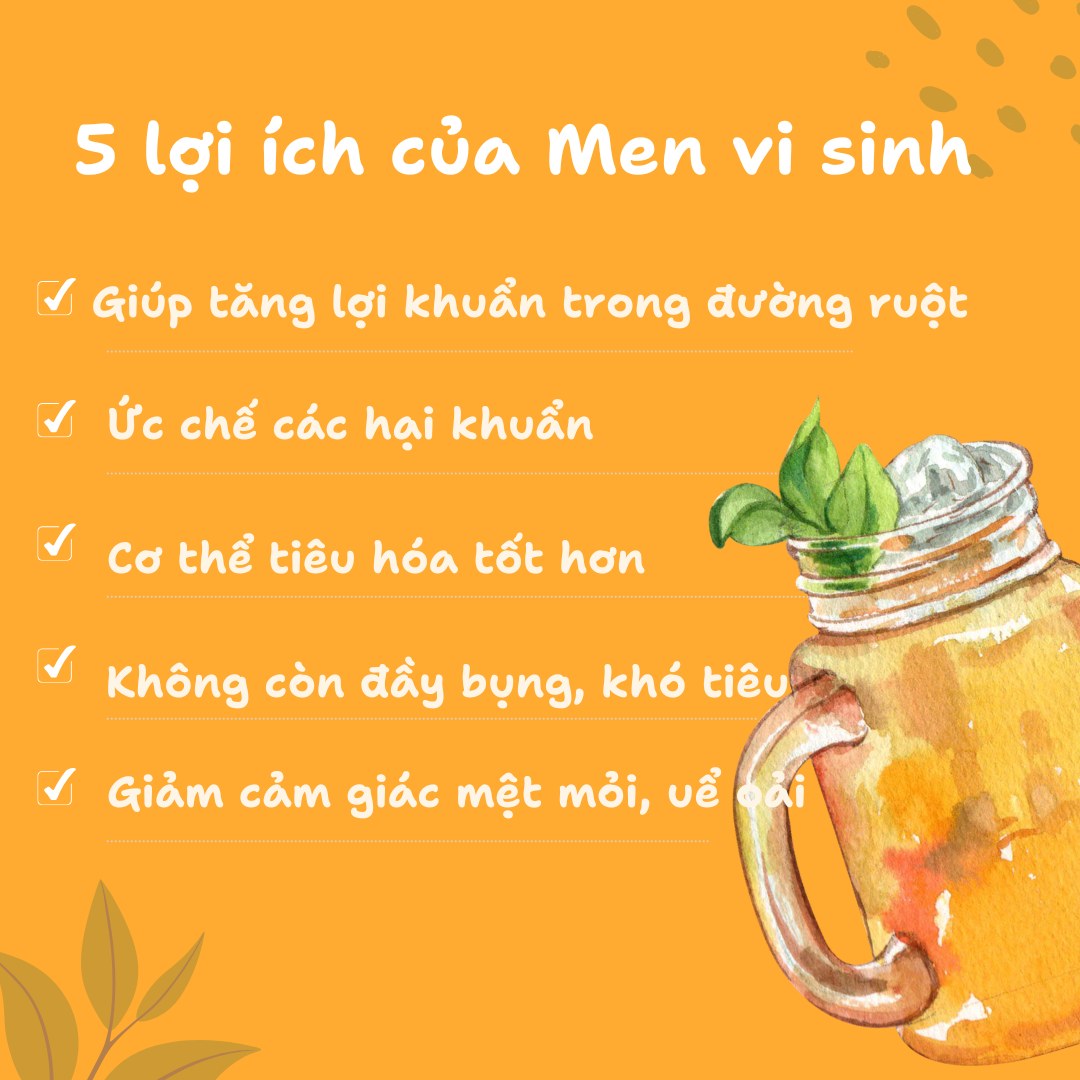Trà Kombucha Danongwon chính hãng 13 vị
