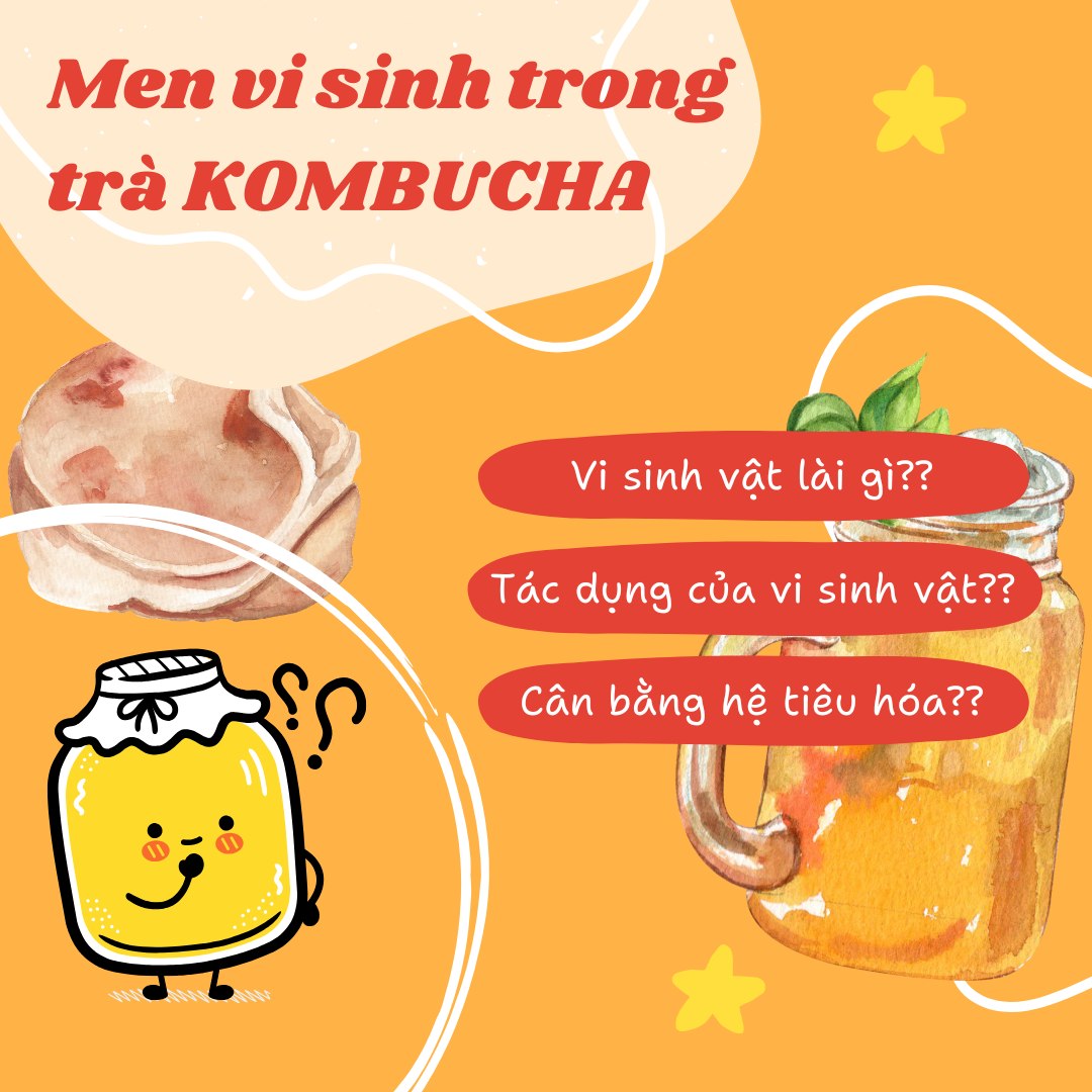 Trà Kombucha Danongwon chính hãng 13 vị