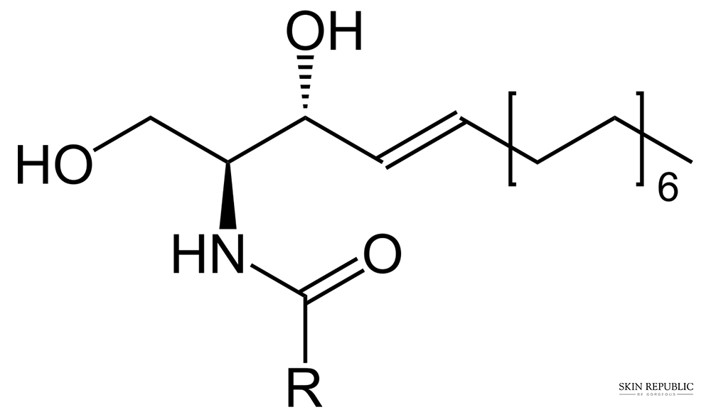 ceramide trong mặt nạ dưỡng ẩm cera + peptide