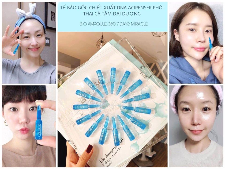 Tế bào gốc DNA Genie tái sinh da Acipenser Bio Ampoule 360 15 ống x 1,5ml