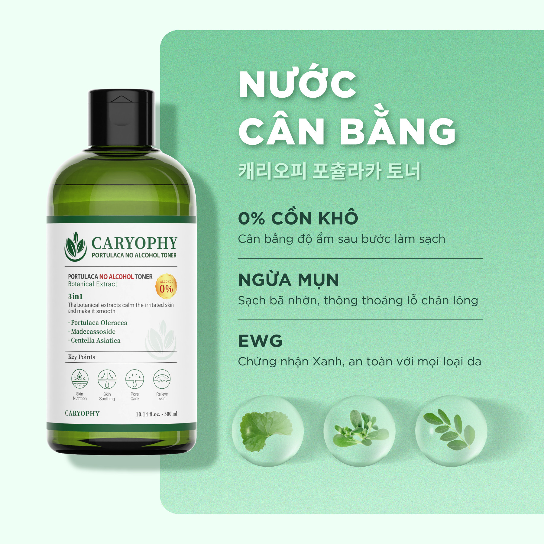 Nuoc-Hoa-Hong-Caryophy-Portulaca-sang-da-mo-tham-mun-9.jpg?v=1775723629