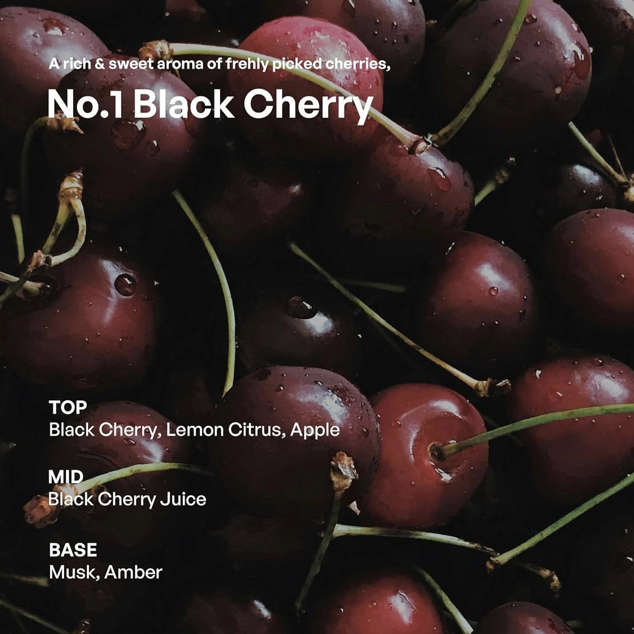 Set-2-Chai-Tinh-Dau-Nuoc-Hoa-Khuech-Tan-Huong-Thom-Hetras-NO-01-BLACK-CHERRY-500ml-x-2--15.jpg?v=1776519543